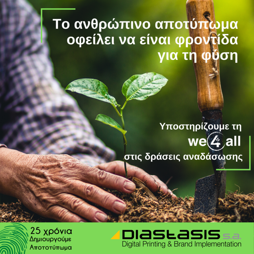 we4all-diastasis-001